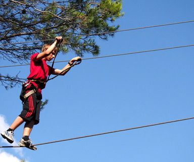 Tree climbing in Ardèche